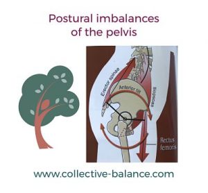 Postural Imbalances of the Pelvis