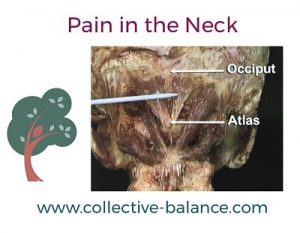 Pain in the Neck